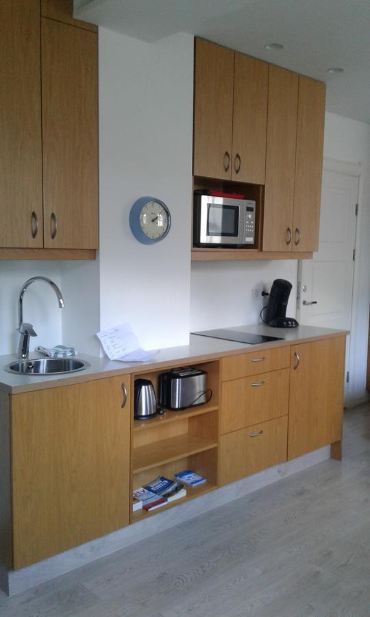 Next Apartment Bergstadastraeti Reykjavik Extérieur photo